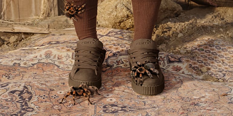 Brown puma creepers online